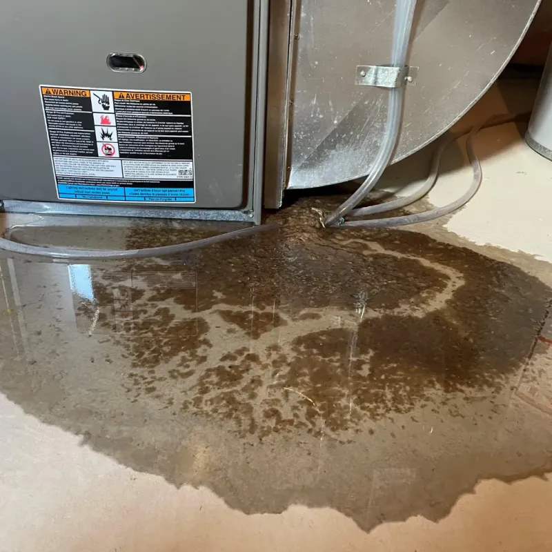 Appliance Leak Cleanup in Tallapoosa County, AL